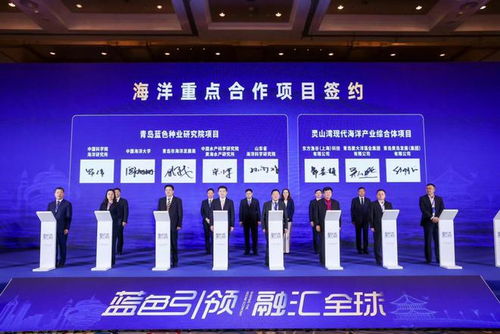 成果丰硕 青岛引领型现代海洋城市建设 北京 推介大会12个项目集中签约,计划总投资222.5亿元