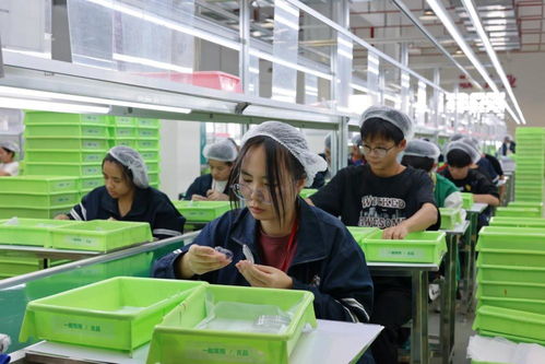 广西北流崛起县域经济新ip 小玩具 萌动 百亿大产业