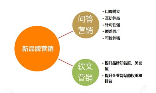 2020年,企业如何做好新品牌的营销,这里给你答案