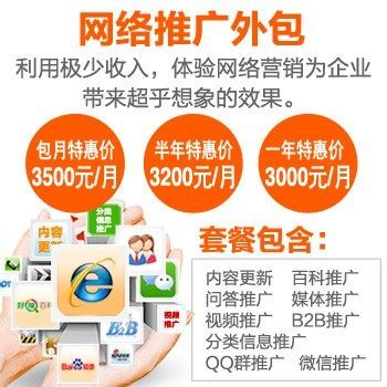 网络推广外包服务 企业网络推广 - 其他