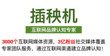 黑蜘蛛互联网品牌认知推广 将品牌植入用户心智中